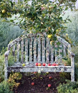 bench with apples from tree