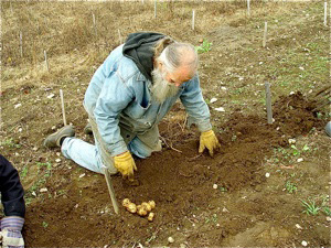 Will Bonsall planting seeds