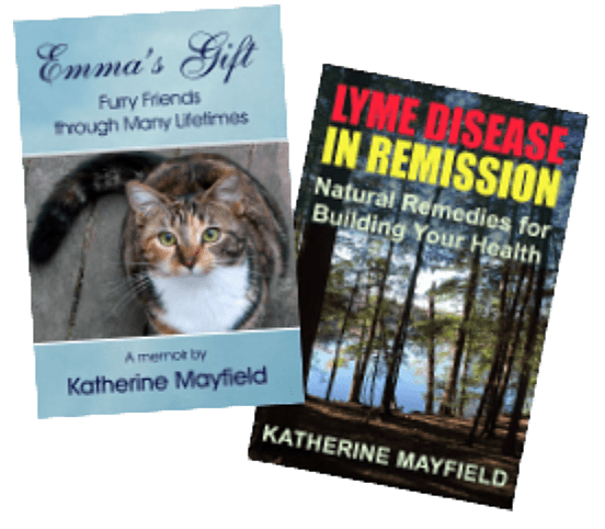 2 self-published books by Katherine Mayfield